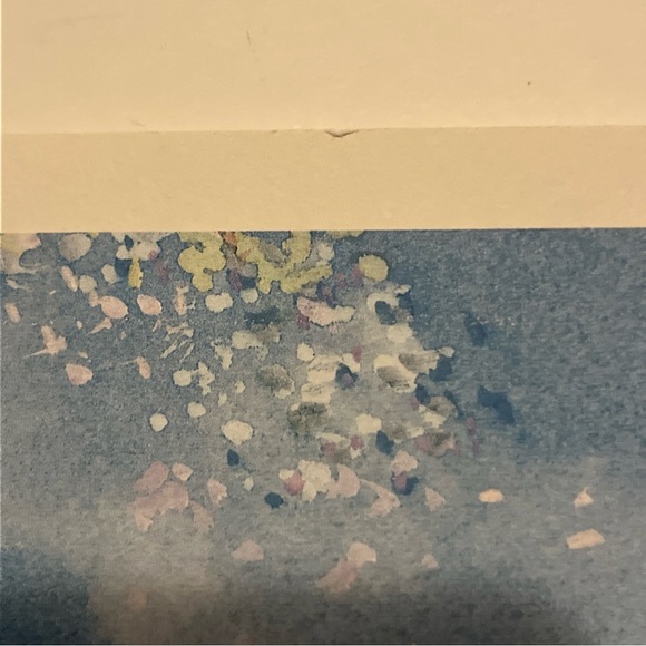 “Garden Party” Print by Chris Bollen 20.25x11.25- Unframed - Picture 8 of 11